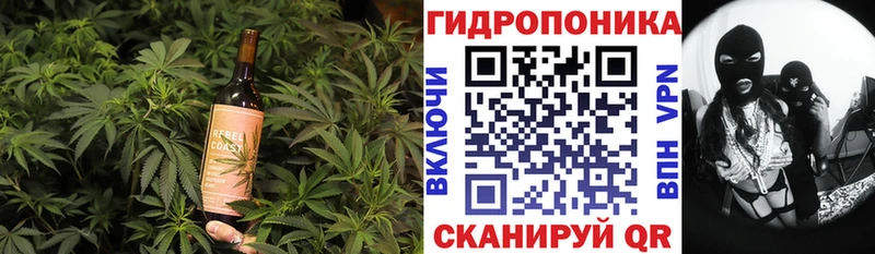 магазин продажи наркотиков  Мураши  Еда ТГК марихуана 